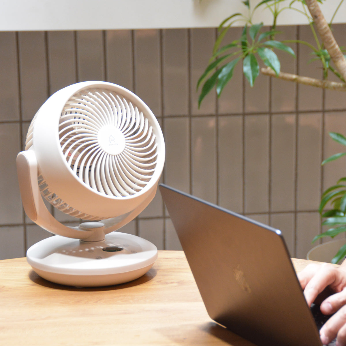 小型サーキュレーターファン|COCO
