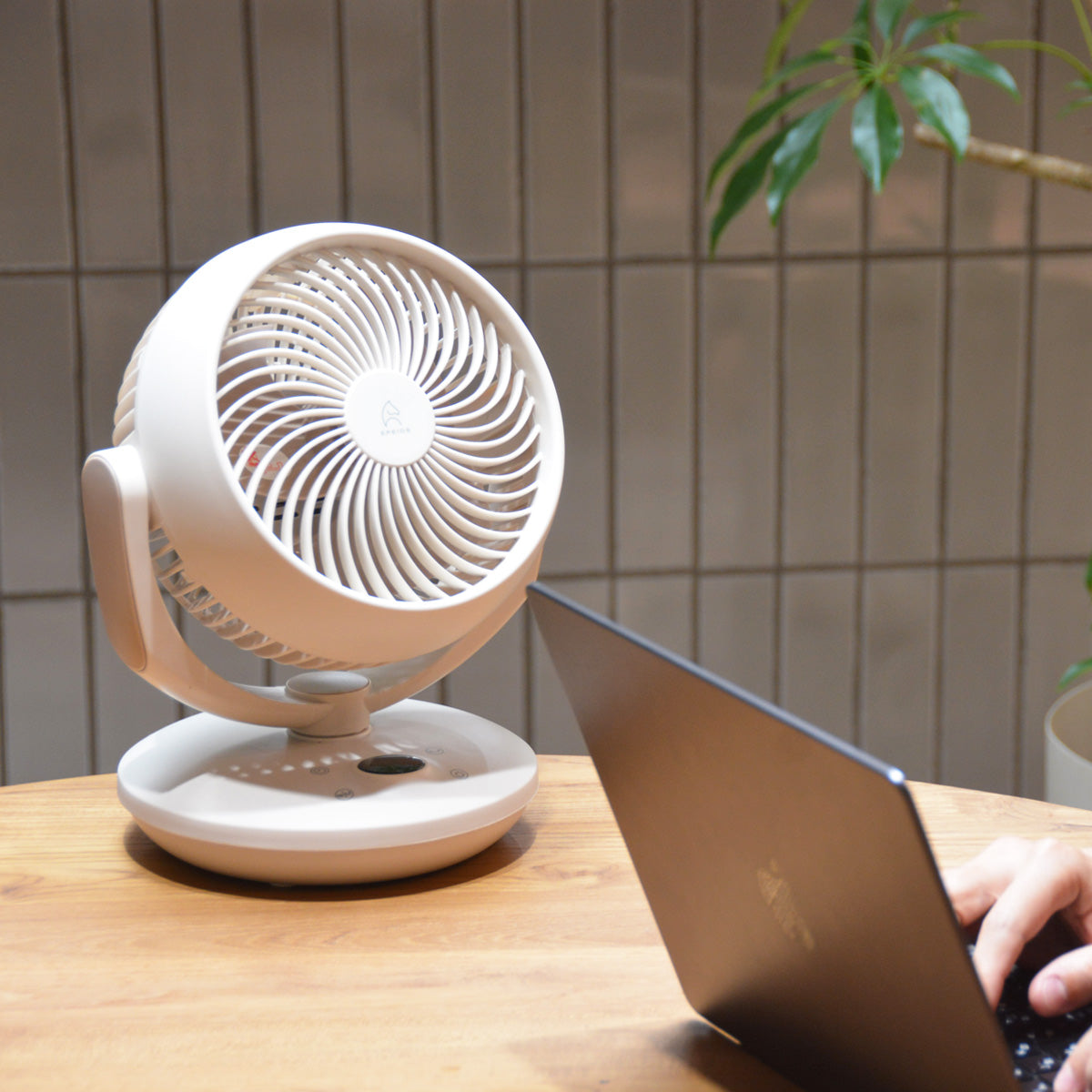 小型サーキュレーターファン|COCO